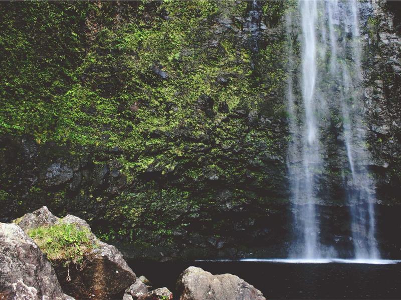 sudoku expert screenshot 4